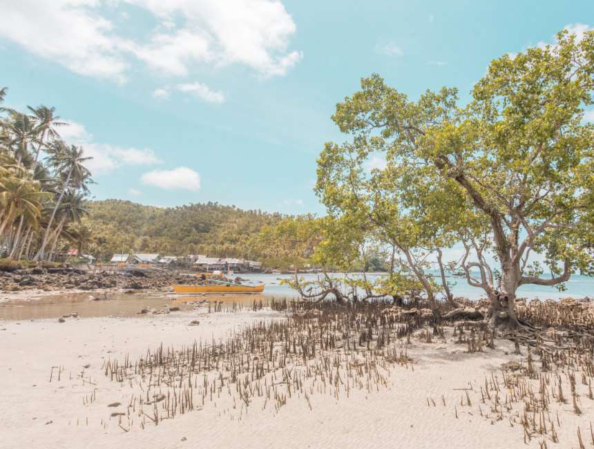 best places to go in the philippines siargao mangroves