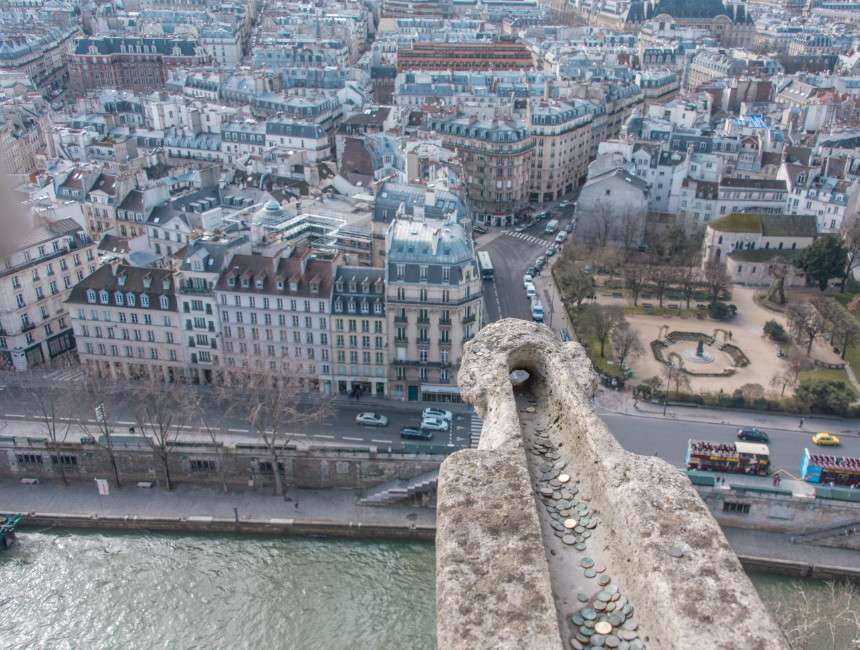 gargoyle viewpoint notre dame before fire