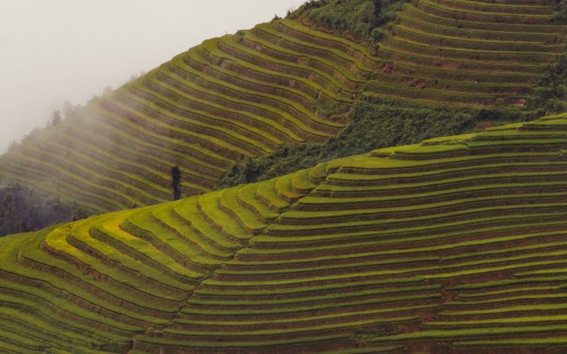 things to do in vietnam